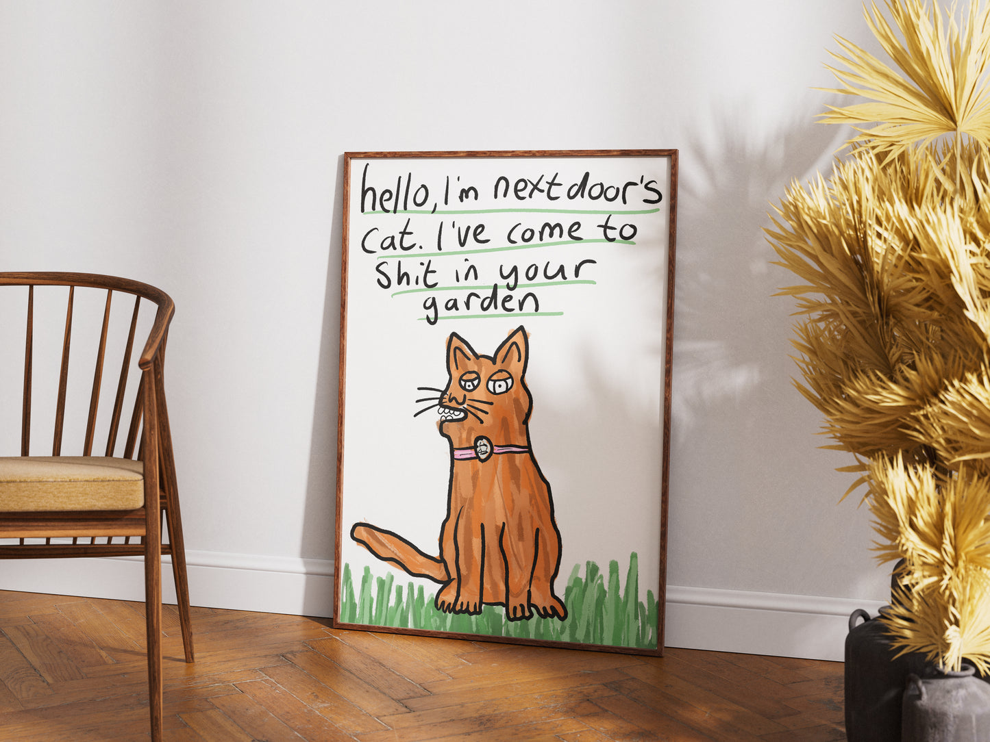 Next Door's Cat