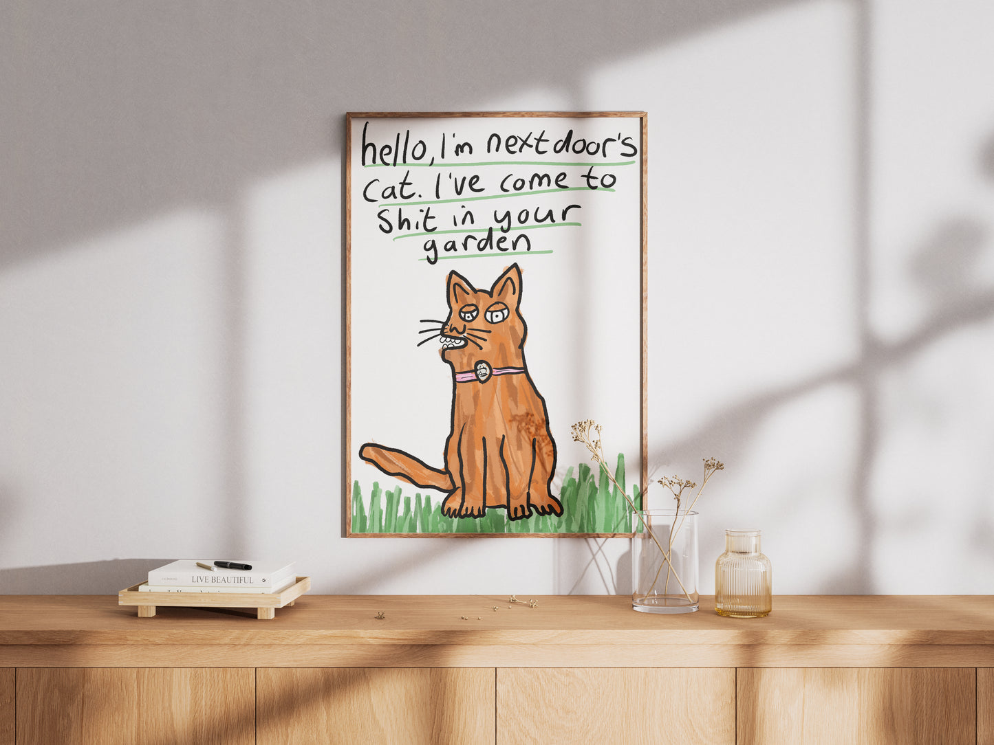 Next Door's Cat