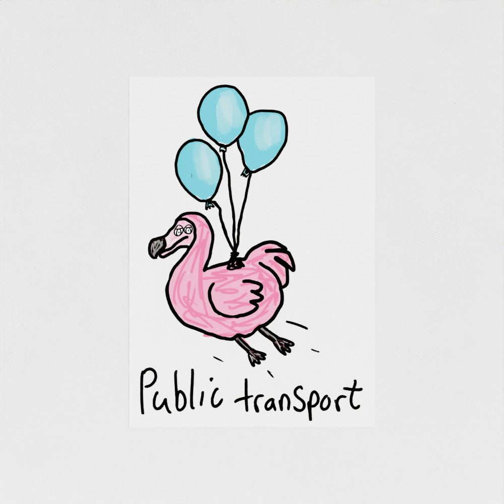 Public Transport