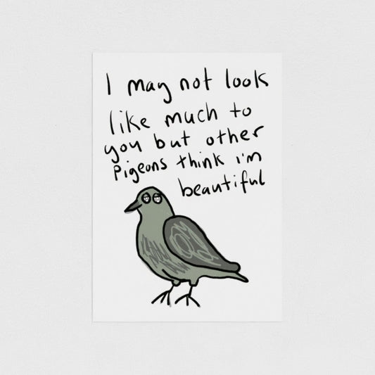 Beautiful Pigeon