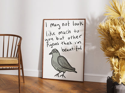 Beautiful Pigeon