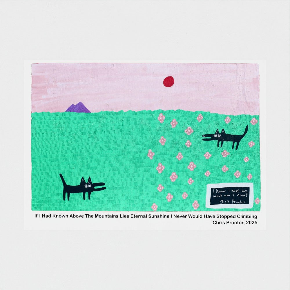 I Know I Was But What Am I Now?