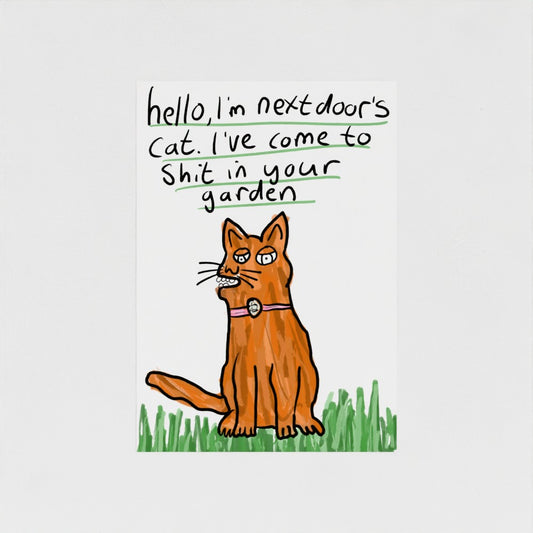 Next Door's Cat