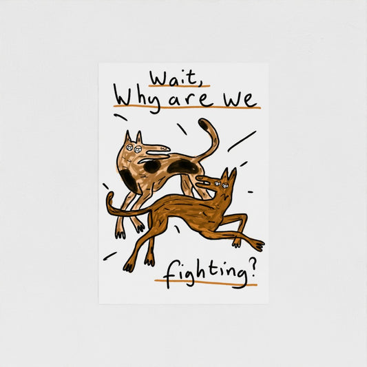 Why Are We Fighting?